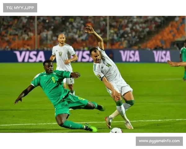 非洲杯决赛现场气氛热烈,东道主球迷营造强大主场优势